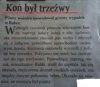 Koń był trzezwy