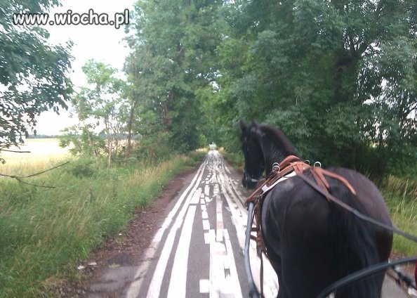 Tylu pasów nie ma żadna autostrada.