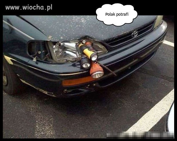 Polak Potrafiii 