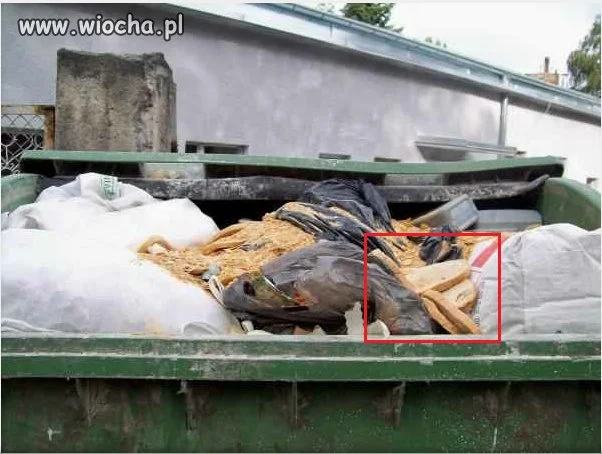 Jedni go pragną inni tak "szanują" 