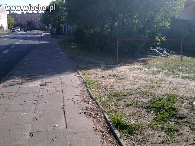 Nie ma to jak ...