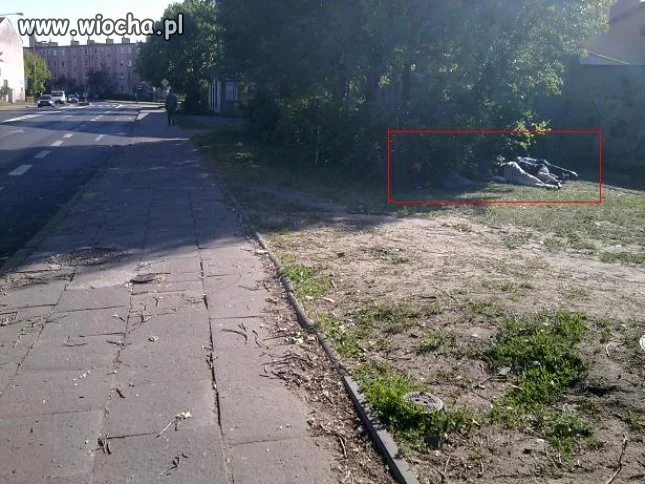 Nie ma to jak ...