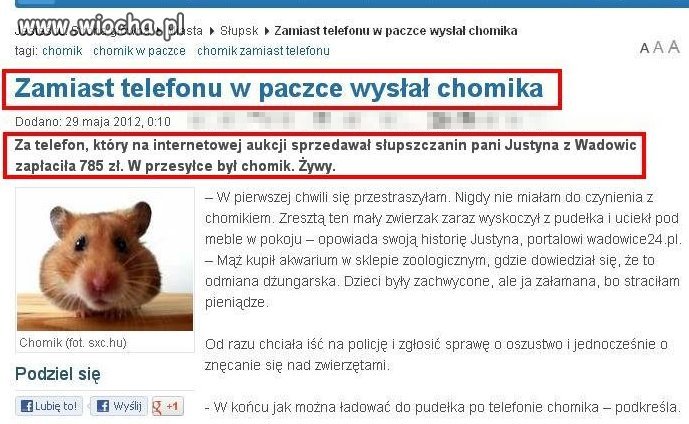 Kupiłaś kota w worku?