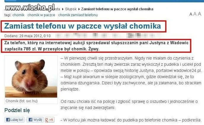 Kupiłaś kota w worku?
