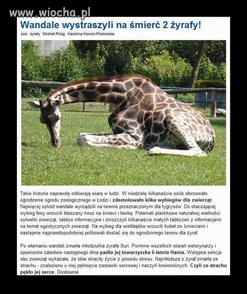 Ludzkie sk***ysyństwo