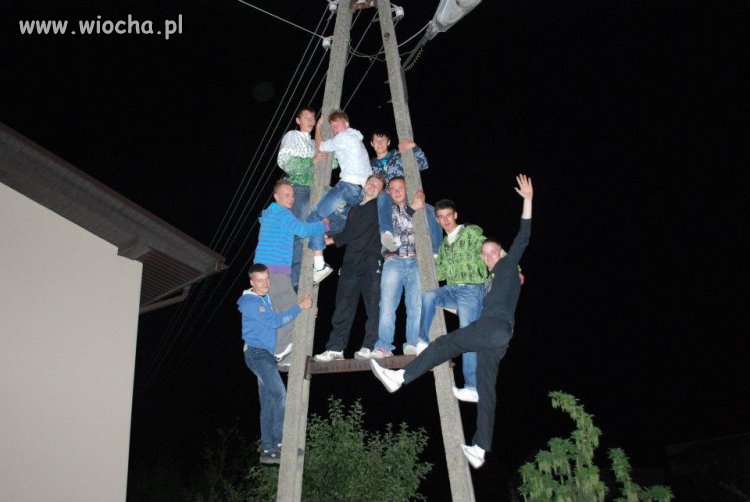 Takie tam na słupie