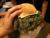 Jamaican tydzień w McDonalds