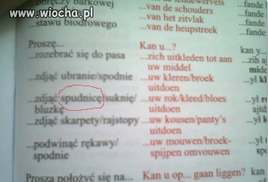 Rozmówki polsko-niderlandzkie