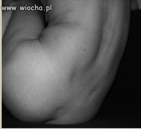 Mistrz Plemion
