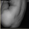 Mistrz Plemion