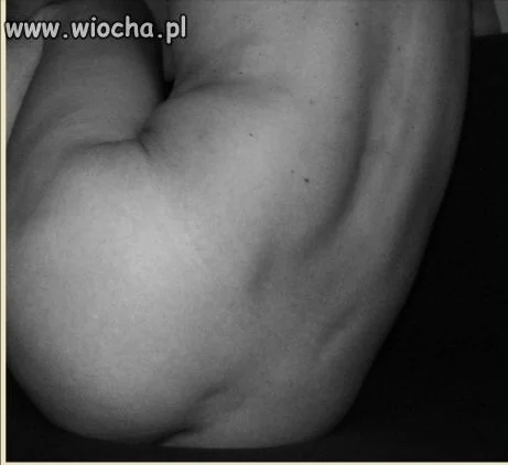 Mistrz Plemion