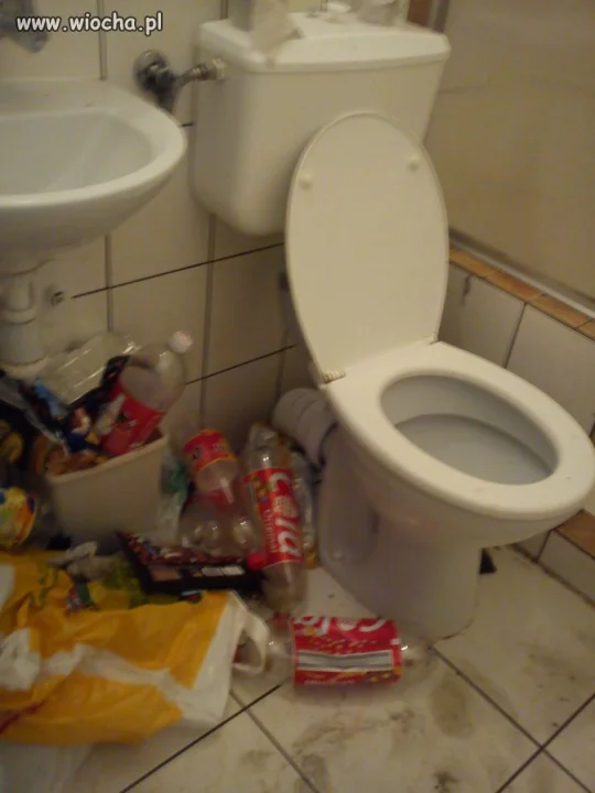 Kibel na zielonej szkole