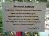 Szanowni Państwo