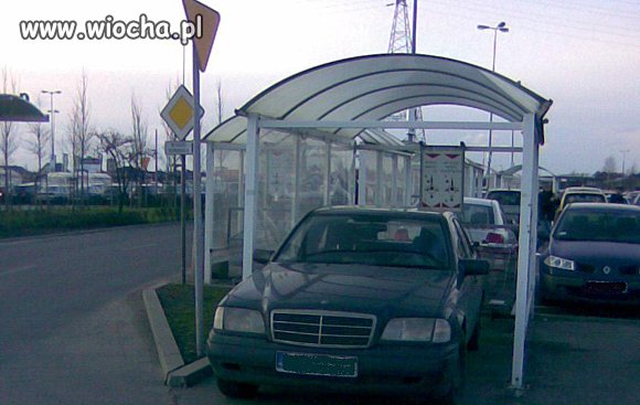 Mistrz parkowania