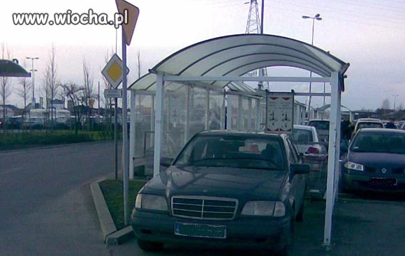 Mistrz parkowania