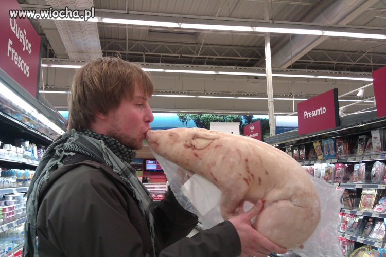 Z świnką