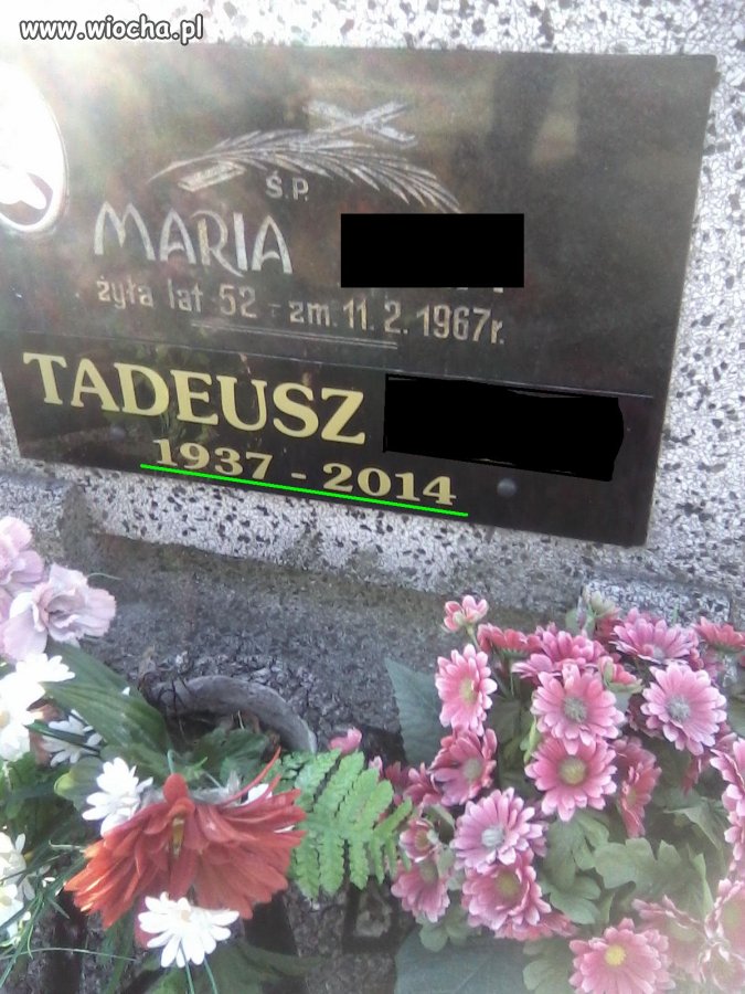 2012 czy 2014