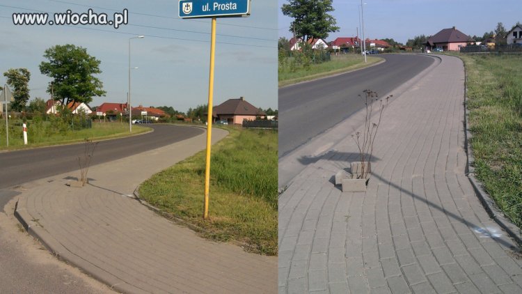 Polskie chodniki 