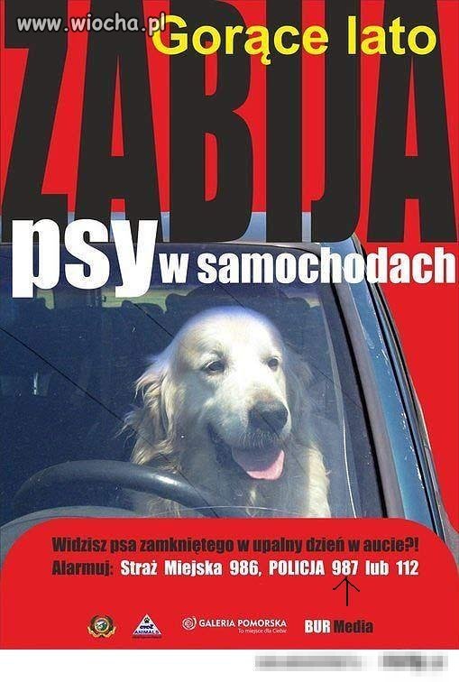 Znajomość numerów alarmowych