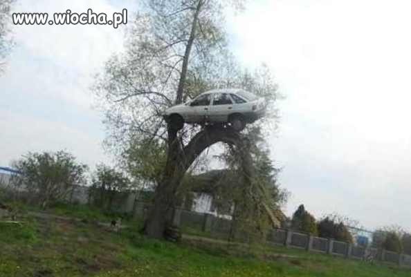Zdjęcie z serii: