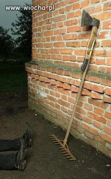 Przebudzenie