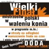 Mistrzostwa Polski w waleniu konia