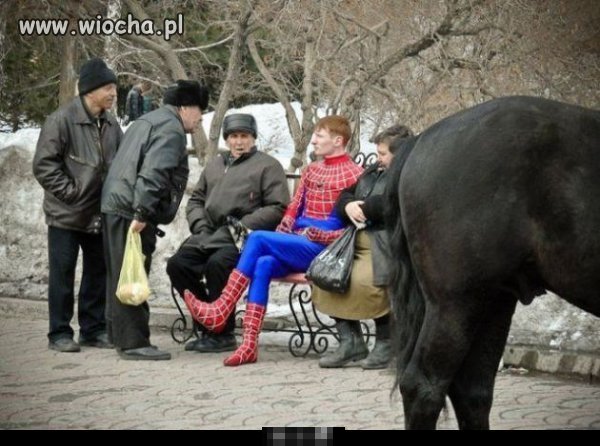 Spider-men 