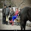 Spider-men 