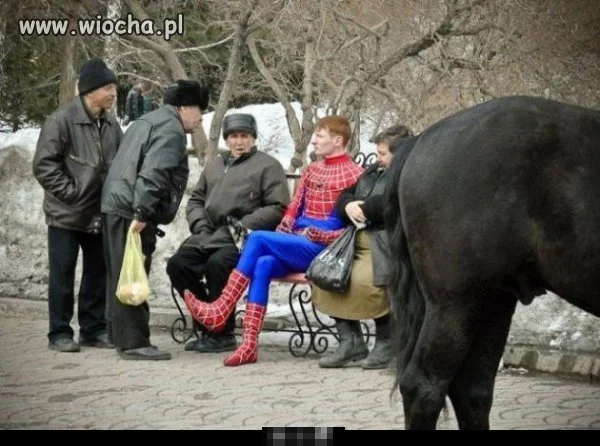 Spider-men 