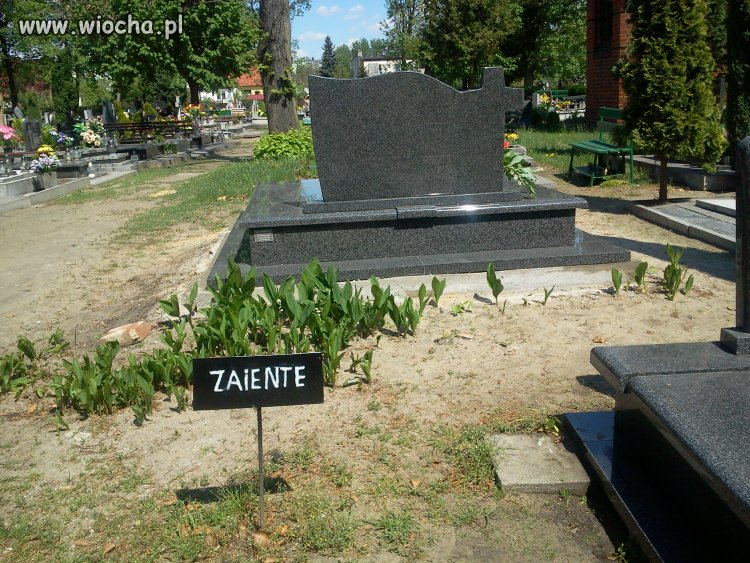 Tabliczka na cmentarzu w Namysłowie.