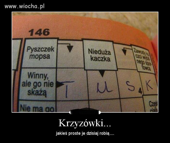 Krzyżówka