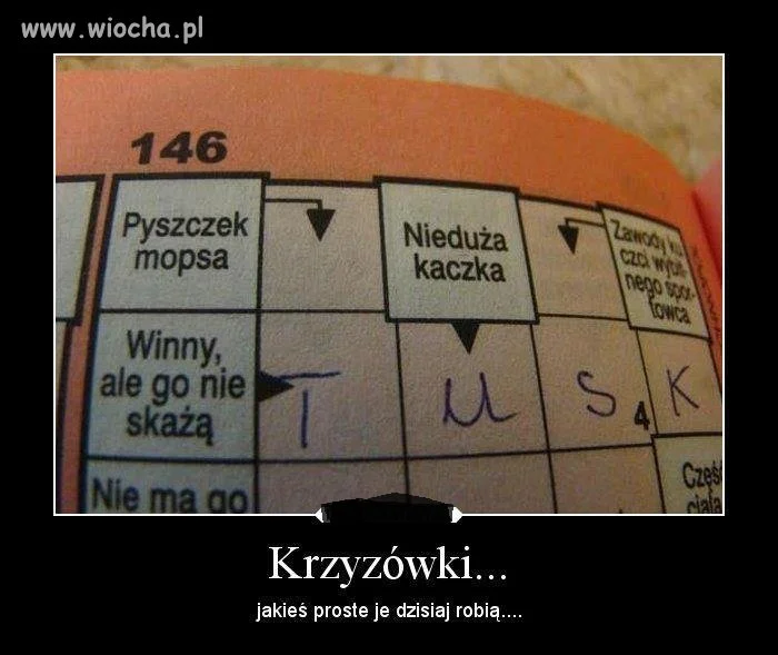 Krzyżówka