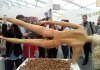 Babka Do orzechów