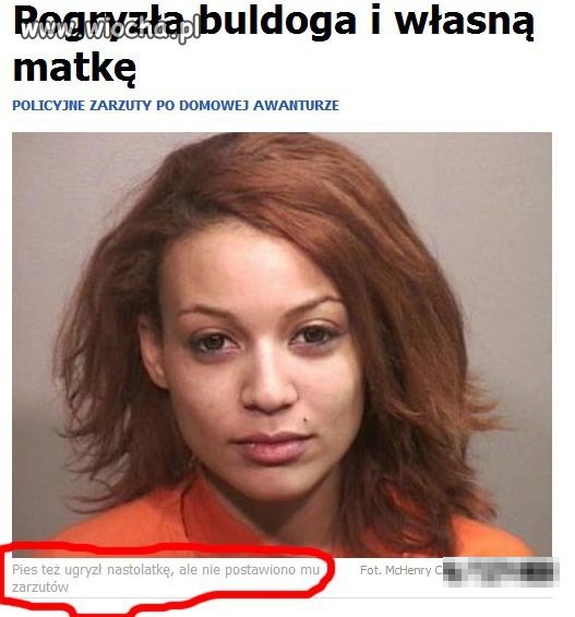 Pogryzła mamę i buldoga 