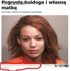 Pogryzła mamę i buldoga 