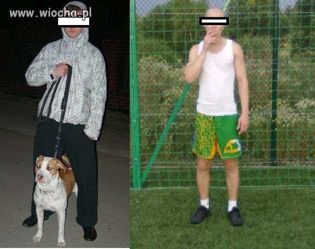 Gangsterka