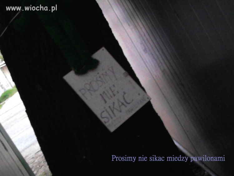 Prosimy nie sikać między pawilonami.