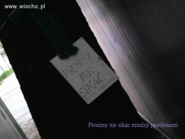 Prosimy nie sikać między pawilonami.