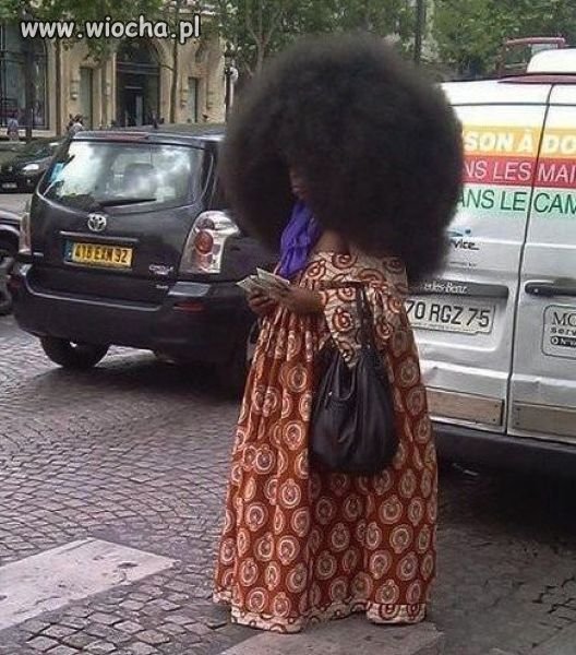 Mega afro