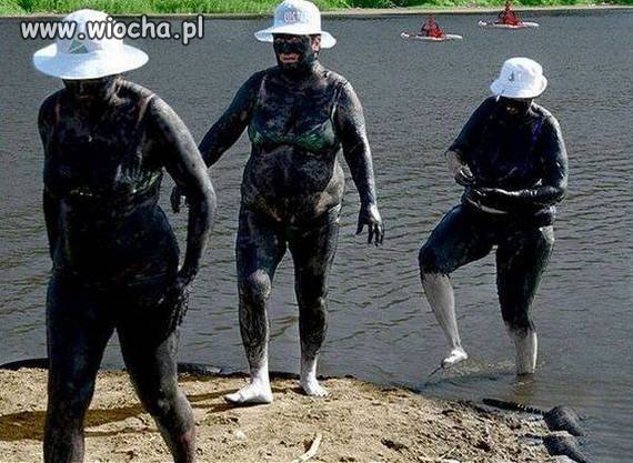 Były sobie świnki trzy...