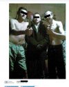 Mafia