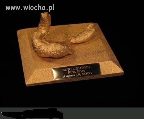 Tatuś kazał pozłocić kupę swojego dziecka