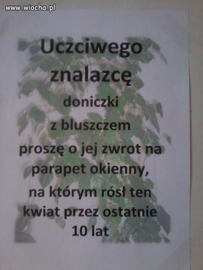 Pozostawiam to Waszym sumieniom...
