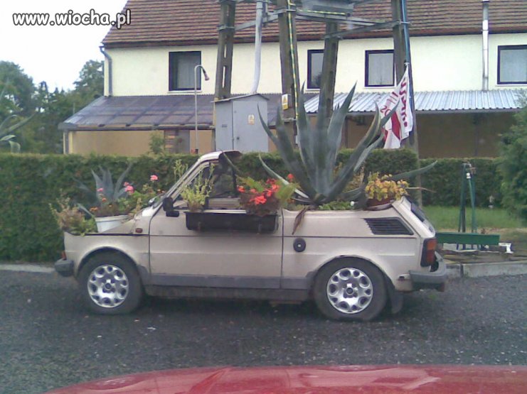 Dolny Śląsk