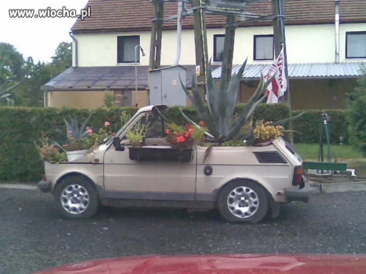Dolny Śląsk