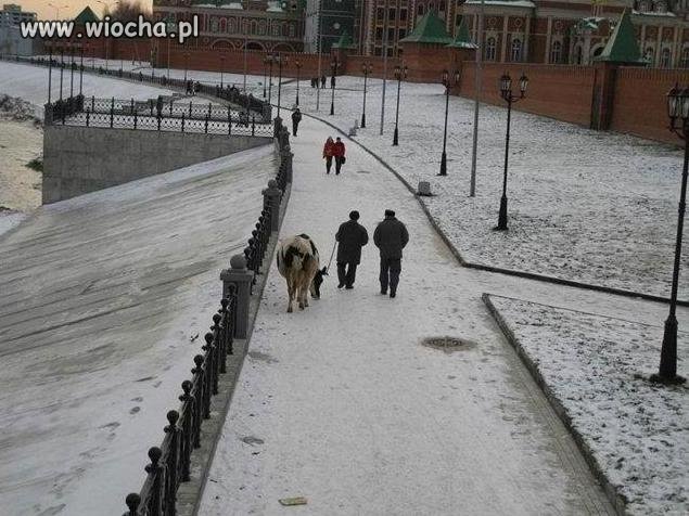 A kto powiedział ...