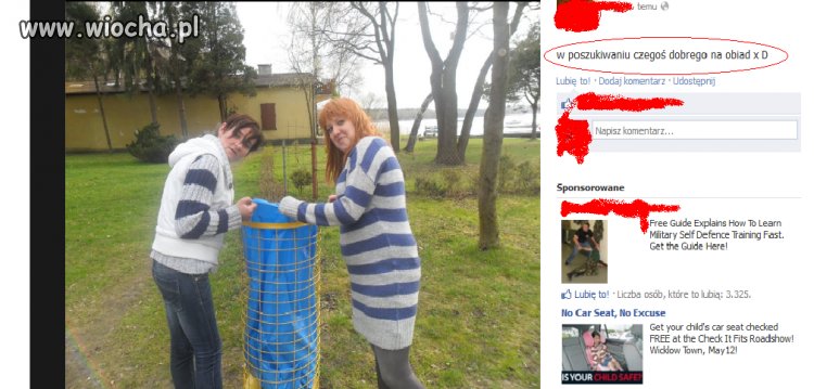 W poszukiwaniu czegoś dobrego na obiad...