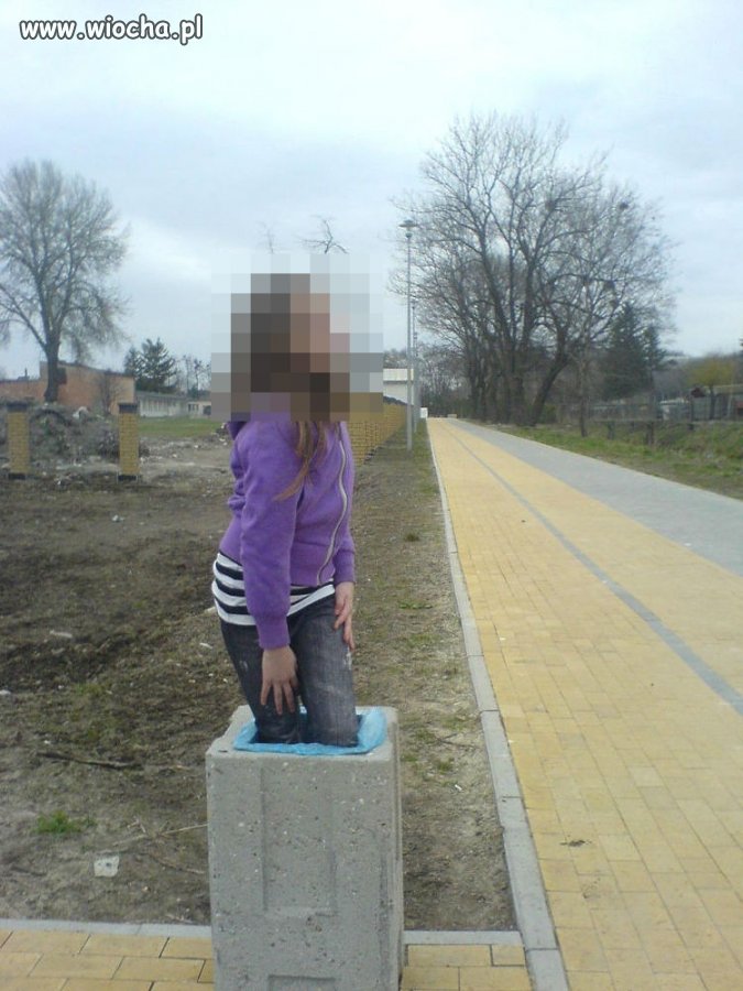 Takie tam w śmietniku 