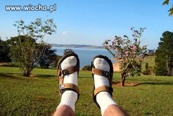 Letnią wieś czas zacząć...