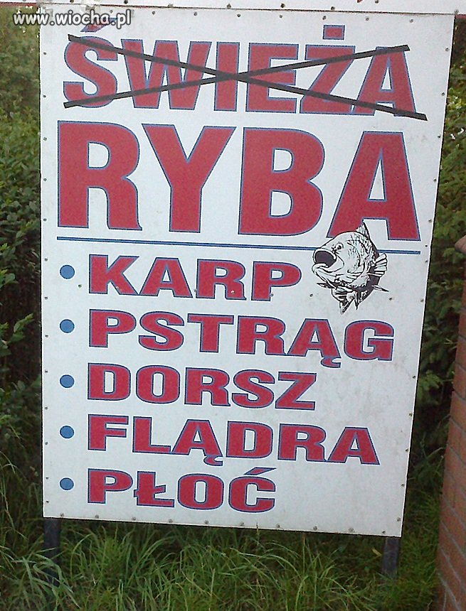 Reklama hurtowni ryb